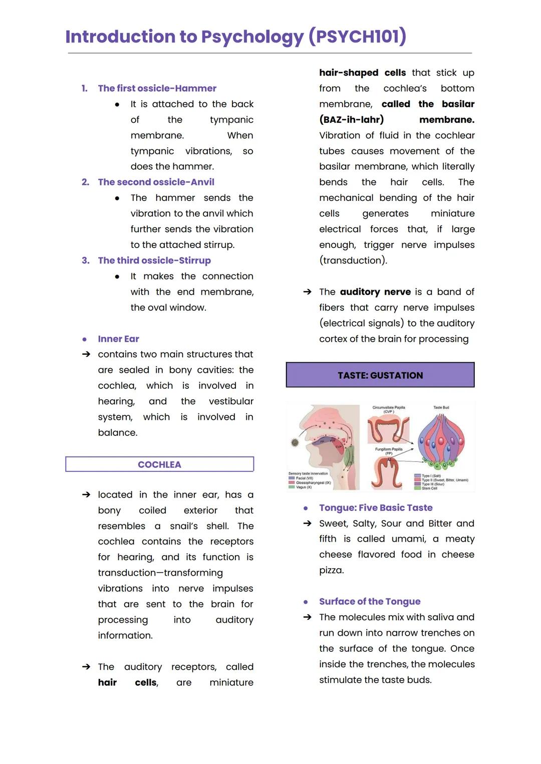 Introduction to Psychology (PSYCH101)
INTRODUCTION TO PSYCHOLOGY
• psyche
• soul/mind
• logos
• study
• Democritus
• "our mind is made up of