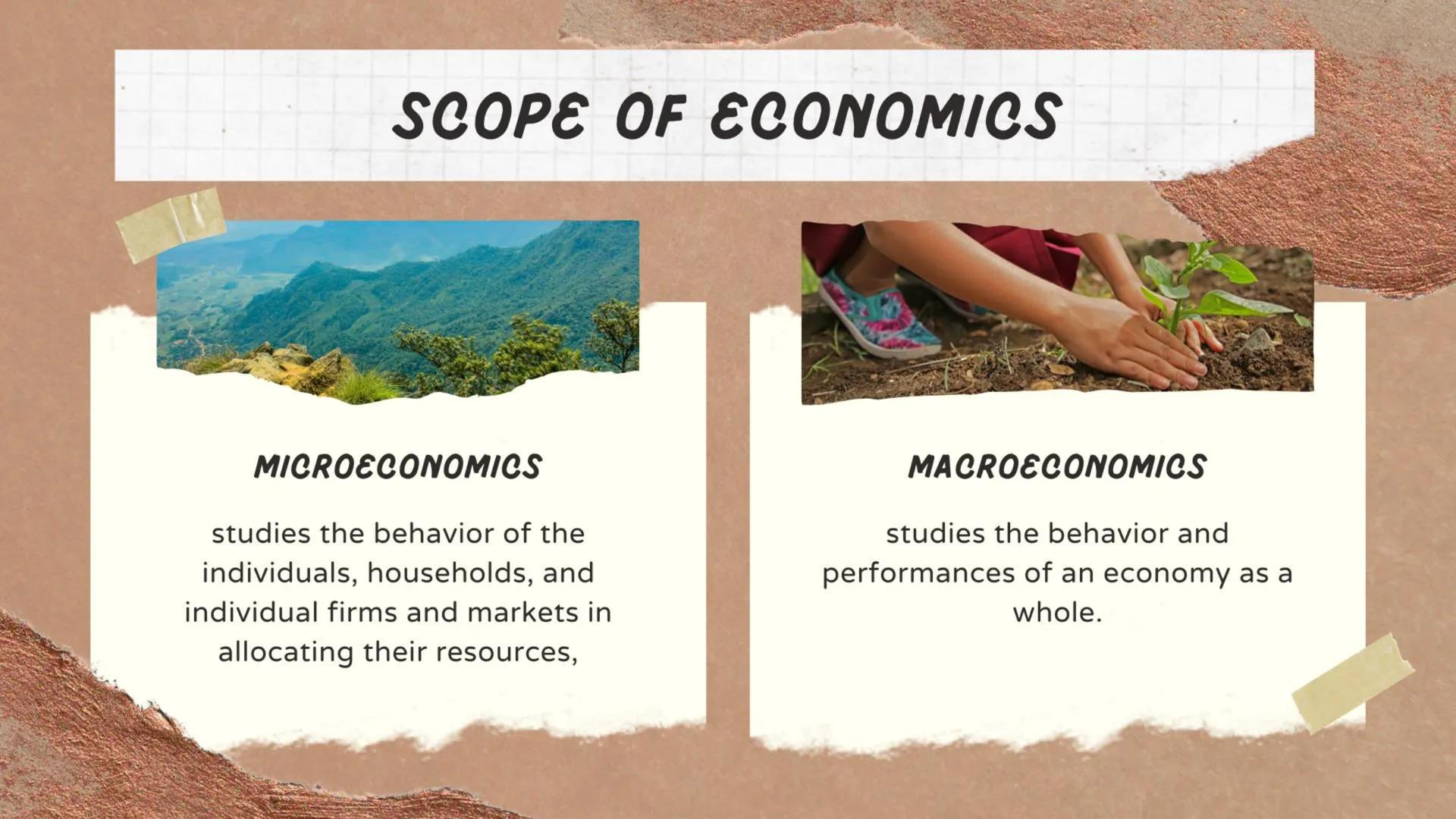 Social Science
BRANCHES AND DISCIPLINES NATURAL SCIENCES VS SOCIAL SCIENCES
• NATURAL SCIENCE- aims to predict all natural all
natural pheno