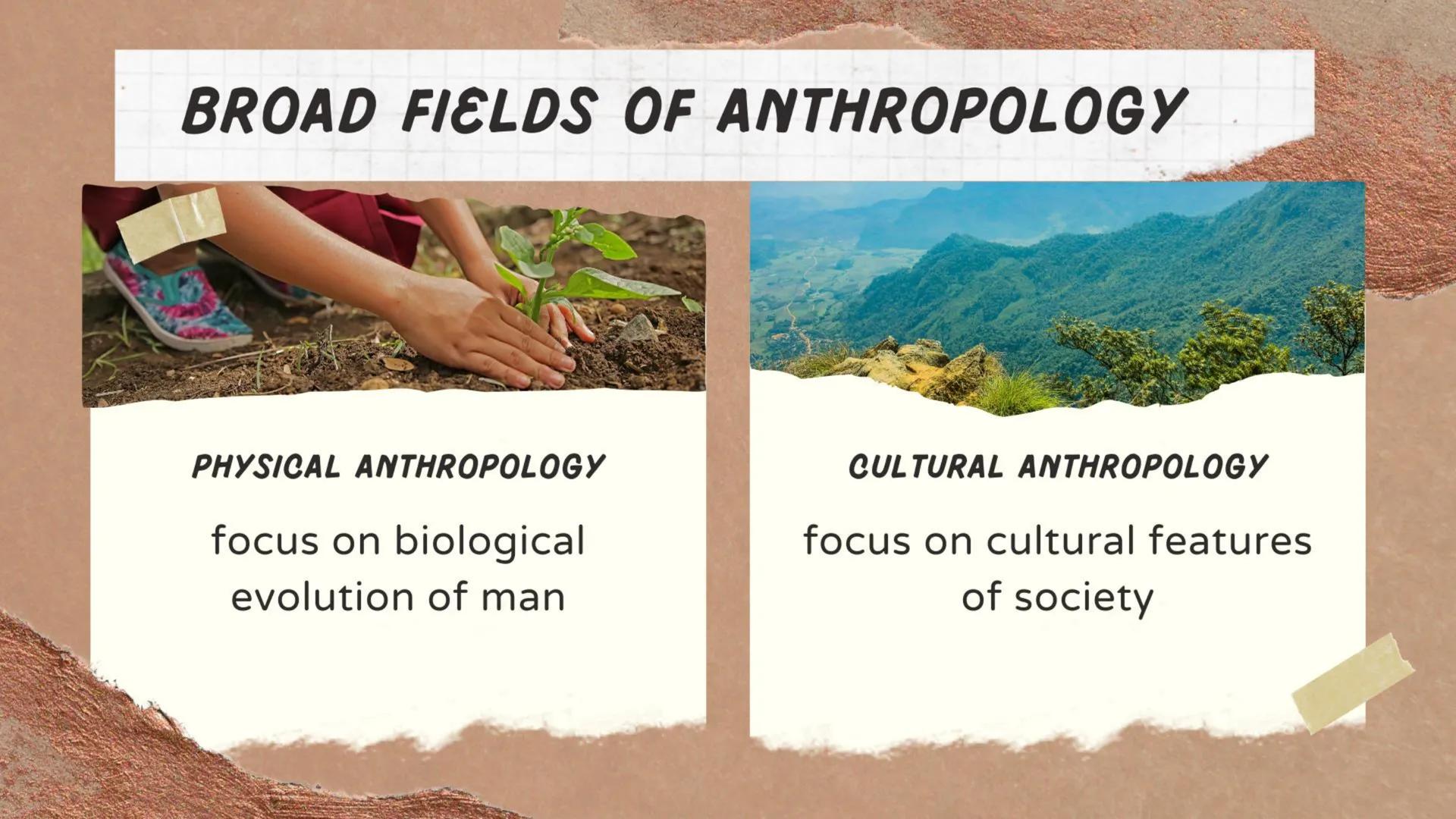 Social Science
BRANCHES AND DISCIPLINES NATURAL SCIENCES VS SOCIAL SCIENCES
• NATURAL SCIENCE- aims to predict all natural all
natural pheno