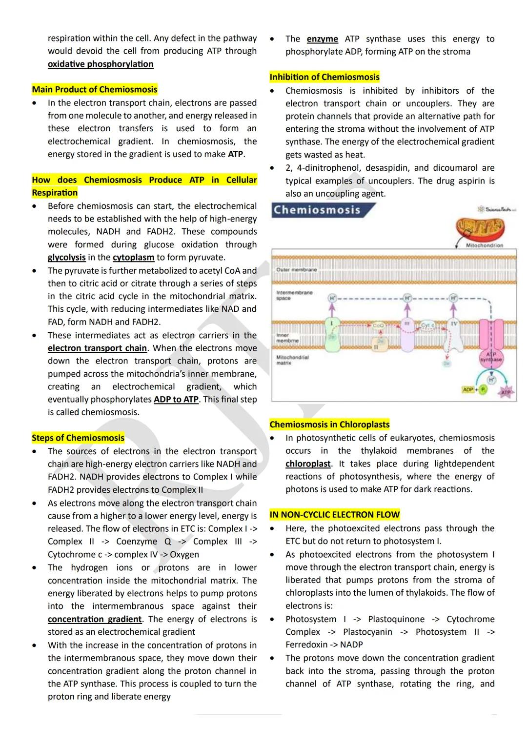 PHOTOSYNTHESIS
An anabolic, endergonic, carbon dioxide (CO2) requiring
process that uses light energy (photons) and water (H2O)
to produce o