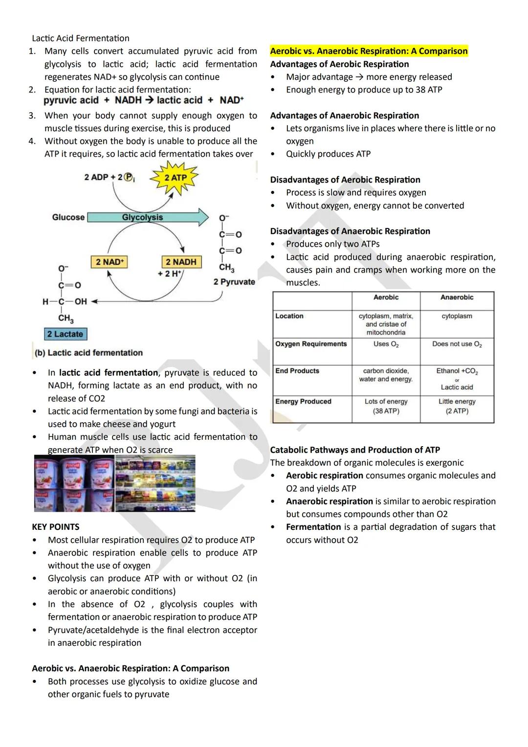 PHOTOSYNTHESIS
An anabolic, endergonic, carbon dioxide (CO2) requiring
process that uses light energy (photons) and water (H2O)
to produce o