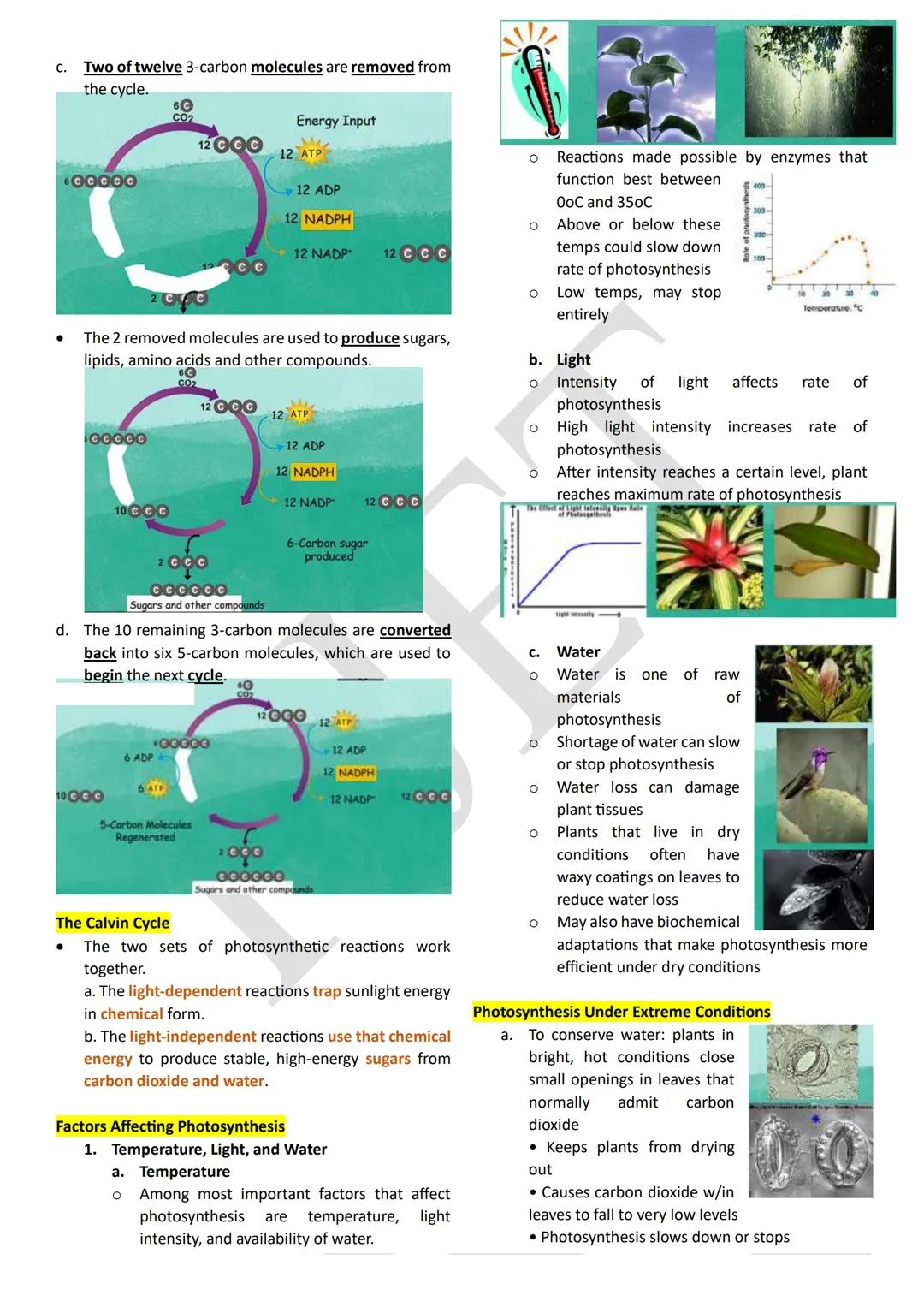 PHOTOSYNTHESIS
An anabolic, endergonic, carbon dioxide (CO2) requiring
process that uses light energy (photons) and water (H2O)
to produce o