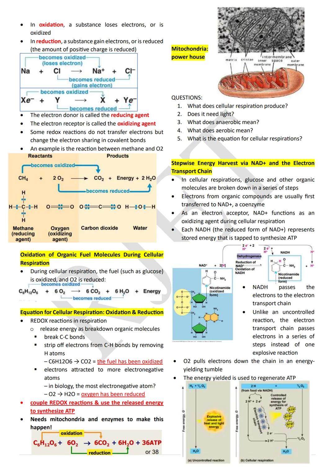PHOTOSYNTHESIS
An anabolic, endergonic, carbon dioxide (CO2) requiring
process that uses light energy (photons) and water (H2O)
to produce o