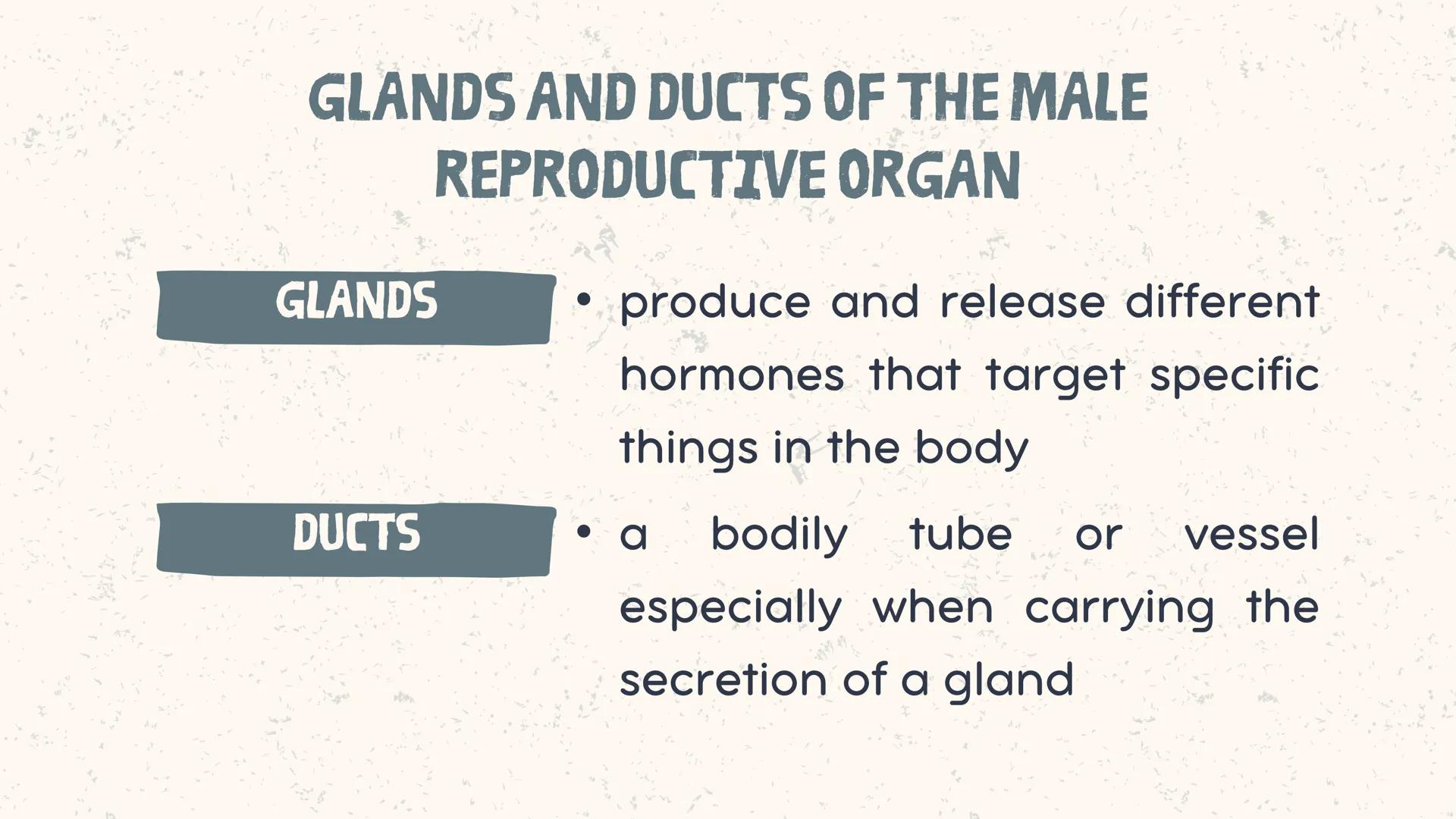 # COORDINATED
FUNCTIONS OF THE
REPRODUCTIVE,
ENDOCRINE AND
NERVOUS SYSTEM
UNIT VI INTRODUCTION
The systems of the body are
made up of diffe