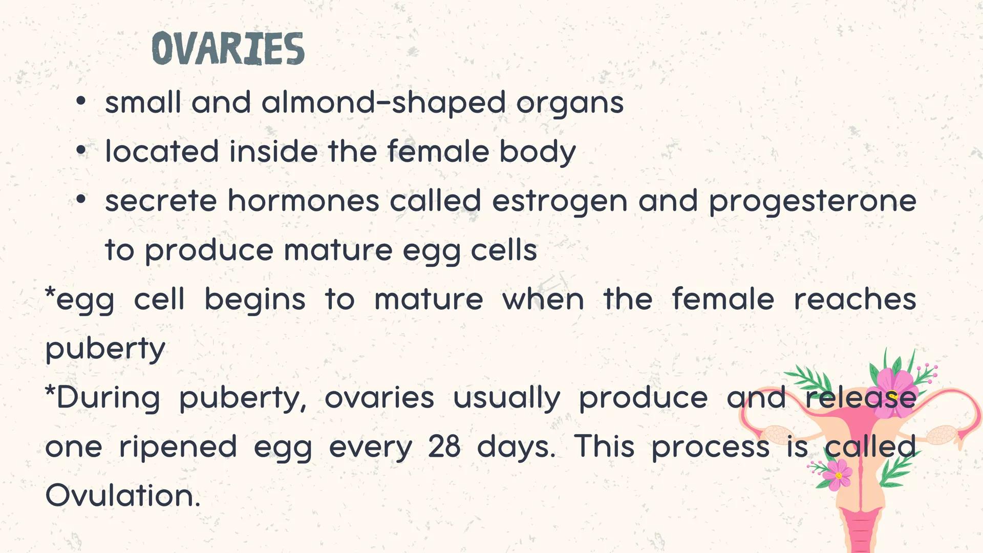 # COORDINATED
FUNCTIONS OF THE
REPRODUCTIVE,
ENDOCRINE AND
NERVOUS SYSTEM
UNIT VI INTRODUCTION
The systems of the body are
made up of diffe
