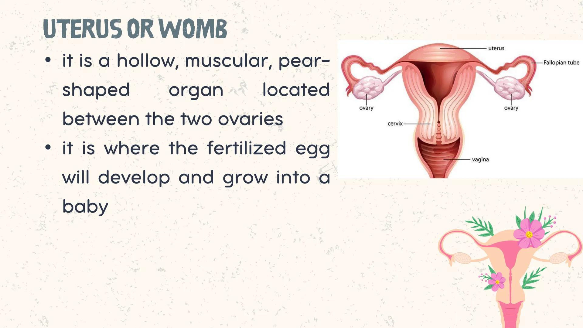 # COORDINATED
FUNCTIONS OF THE
REPRODUCTIVE,
ENDOCRINE AND
NERVOUS SYSTEM
UNIT VI INTRODUCTION
The systems of the body are
made up of diffe