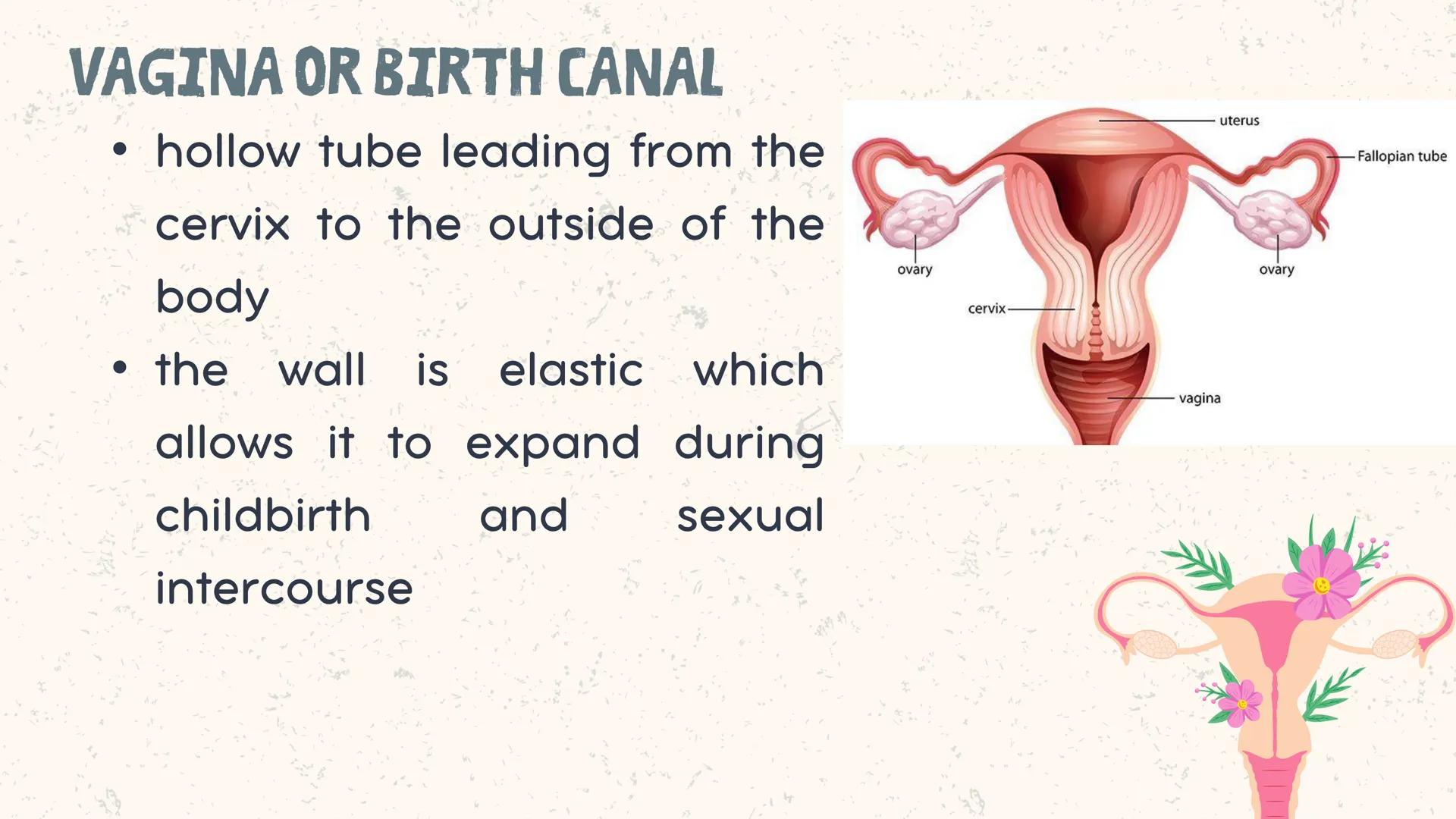 # COORDINATED
FUNCTIONS OF THE
REPRODUCTIVE,
ENDOCRINE AND
NERVOUS SYSTEM
UNIT VI INTRODUCTION
The systems of the body are
made up of diffe