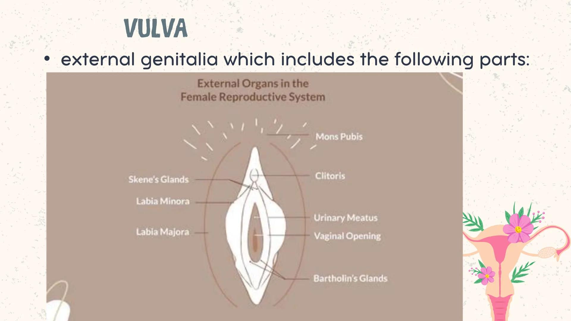 # COORDINATED
FUNCTIONS OF THE
REPRODUCTIVE,
ENDOCRINE AND
NERVOUS SYSTEM
UNIT VI INTRODUCTION
The systems of the body are
made up of diffe