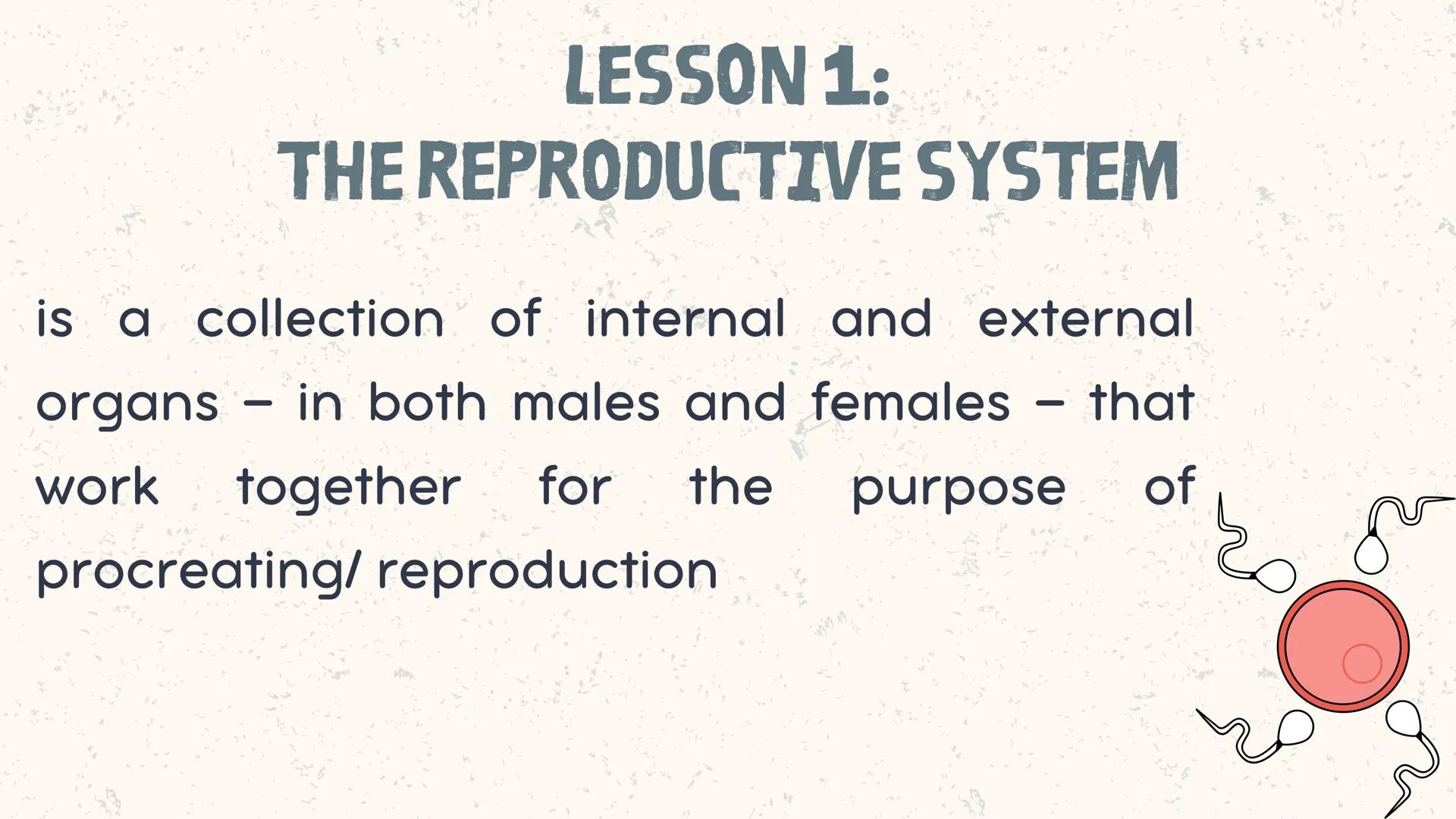 # COORDINATED
FUNCTIONS OF THE
REPRODUCTIVE,
ENDOCRINE AND
NERVOUS SYSTEM
UNIT VI INTRODUCTION
The systems of the body are
made up of diffe