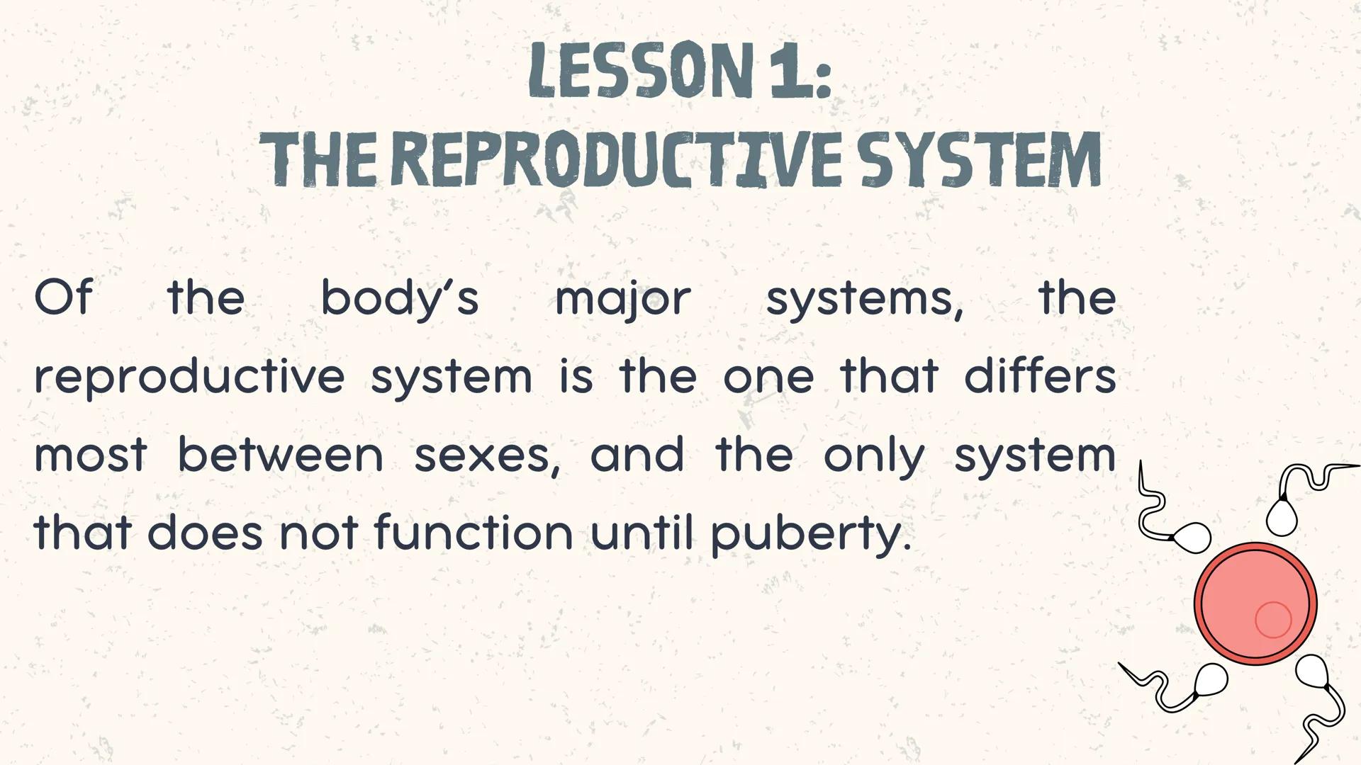 # COORDINATED
FUNCTIONS OF THE
REPRODUCTIVE,
ENDOCRINE AND
NERVOUS SYSTEM
UNIT VI INTRODUCTION
The systems of the body are
made up of diffe