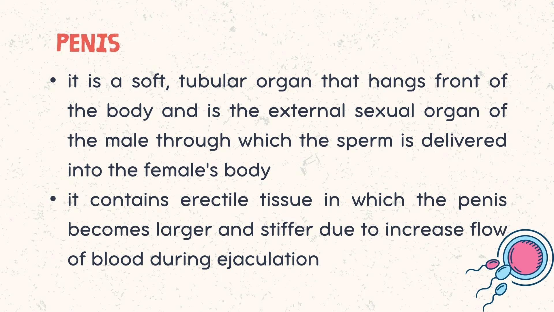# COORDINATED
FUNCTIONS OF THE
REPRODUCTIVE,
ENDOCRINE AND
NERVOUS SYSTEM
UNIT VI INTRODUCTION
The systems of the body are
made up of diffe