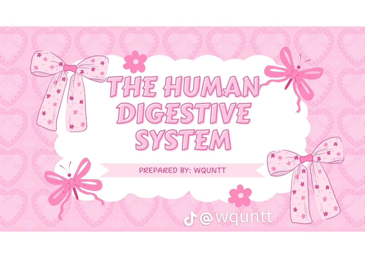 # THE HUMAN
DIGESTIVE
SYSTEM
PREPARED BY: WQUNTT
@wqunnt ANUS
• WHERE FECES
ELEMINATE/RELEASE/EXPE
LLED FROM OUR BODY
THROUGH THE PROCESS