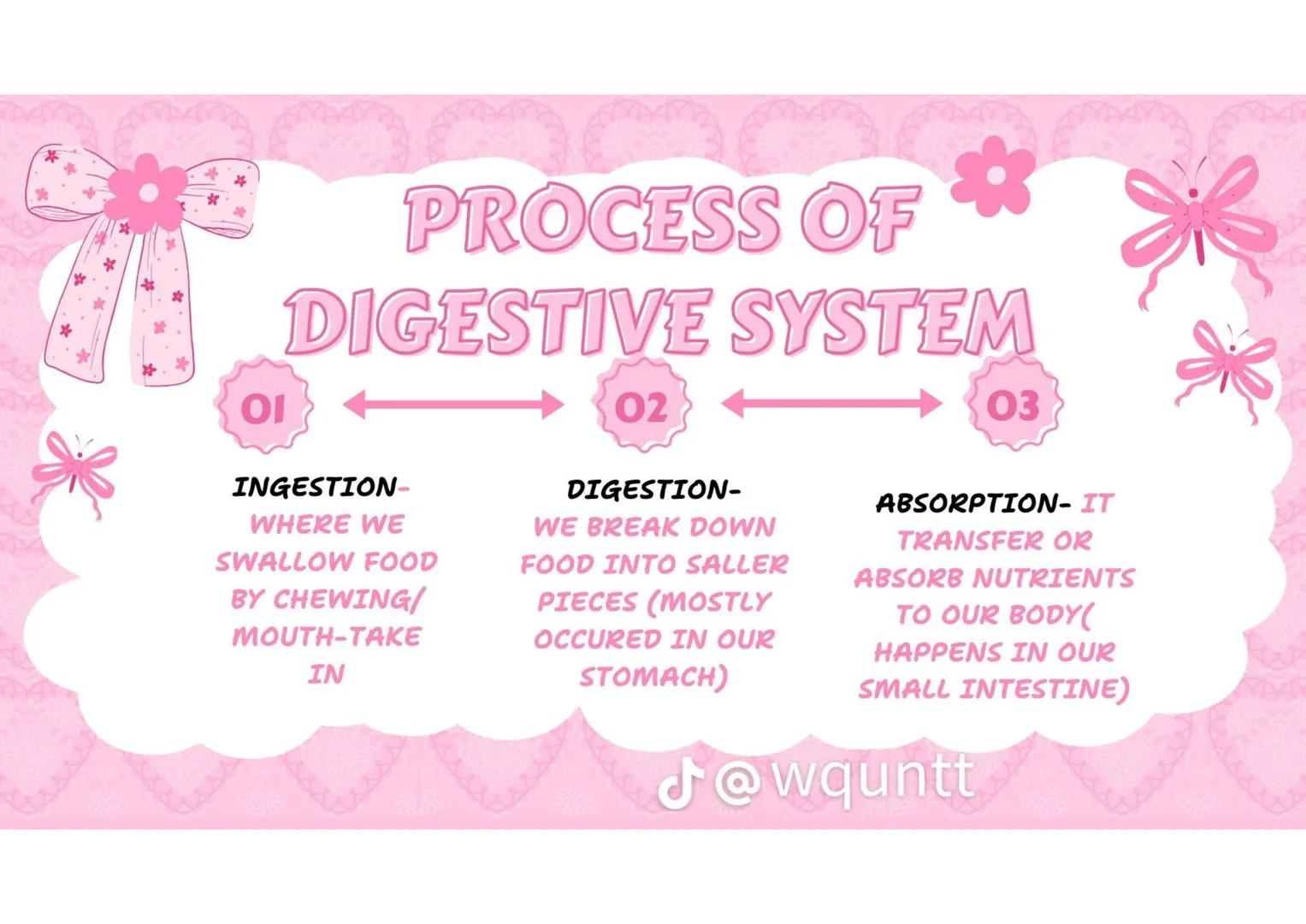 # THE HUMAN
DIGESTIVE
SYSTEM
PREPARED BY: WQUNTT
@wqunnt ANUS
• WHERE FECES
ELEMINATE/RELEASE/EXPE
LLED FROM OUR BODY
THROUGH THE PROCESS