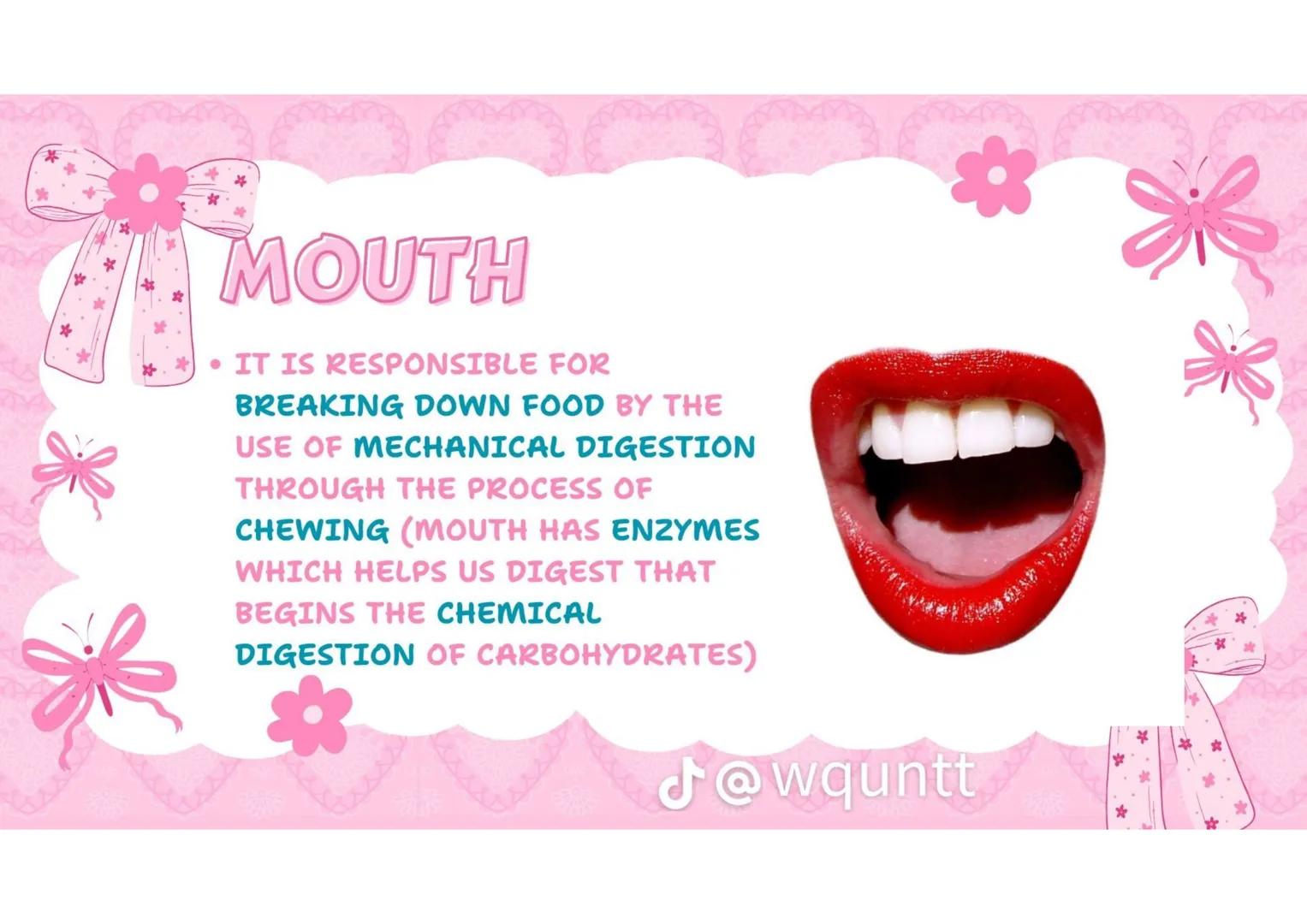 # THE HUMAN
DIGESTIVE
SYSTEM
PREPARED BY: WQUNTT
@wqunnt ANUS
• WHERE FECES
ELEMINATE/RELEASE/EXPE
LLED FROM OUR BODY
THROUGH THE PROCESS
