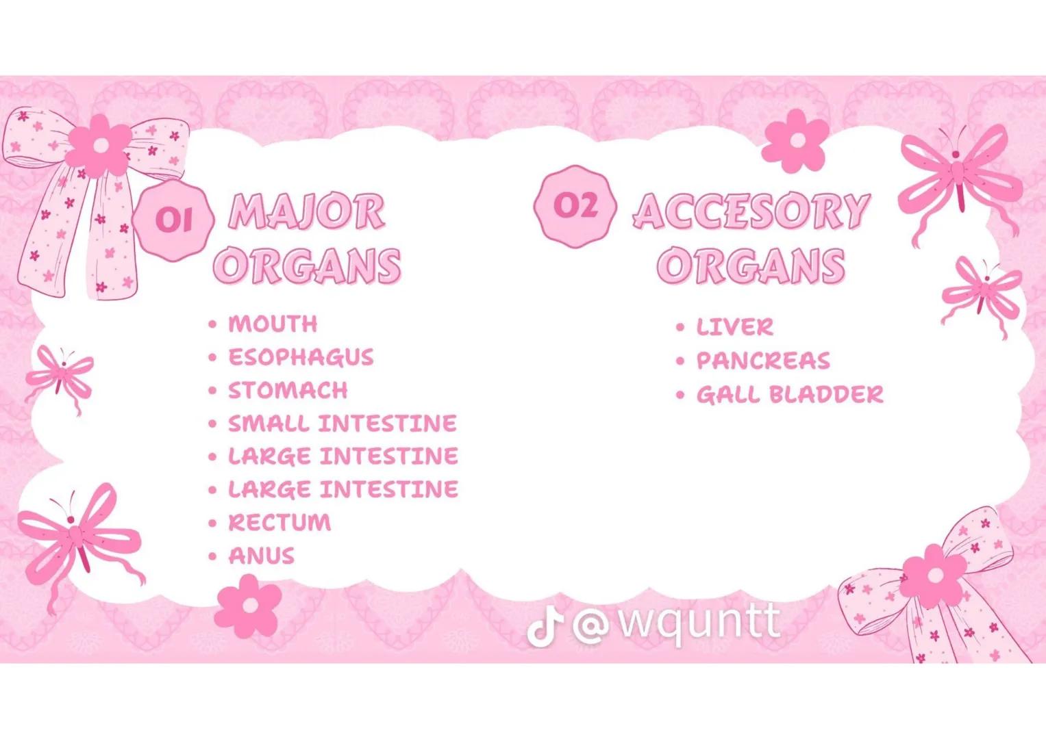 # THE HUMAN
DIGESTIVE
SYSTEM
PREPARED BY: WQUNTT
@wqunnt ANUS
• WHERE FECES
ELEMINATE/RELEASE/EXPE
LLED FROM OUR BODY
THROUGH THE PROCESS