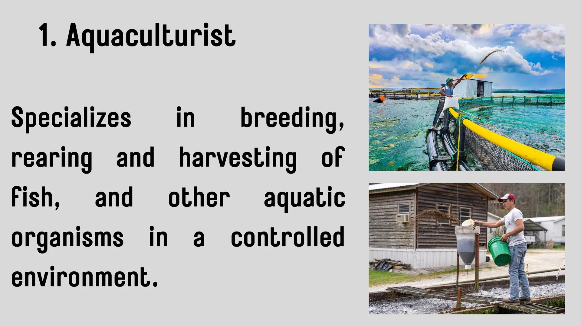 # LESSON 1:
# AQUACULTURE AQUACULTURE
is the farming of aquatic
organisms such as fish
and
shellfish under
controlled conditions RA 8550 (T