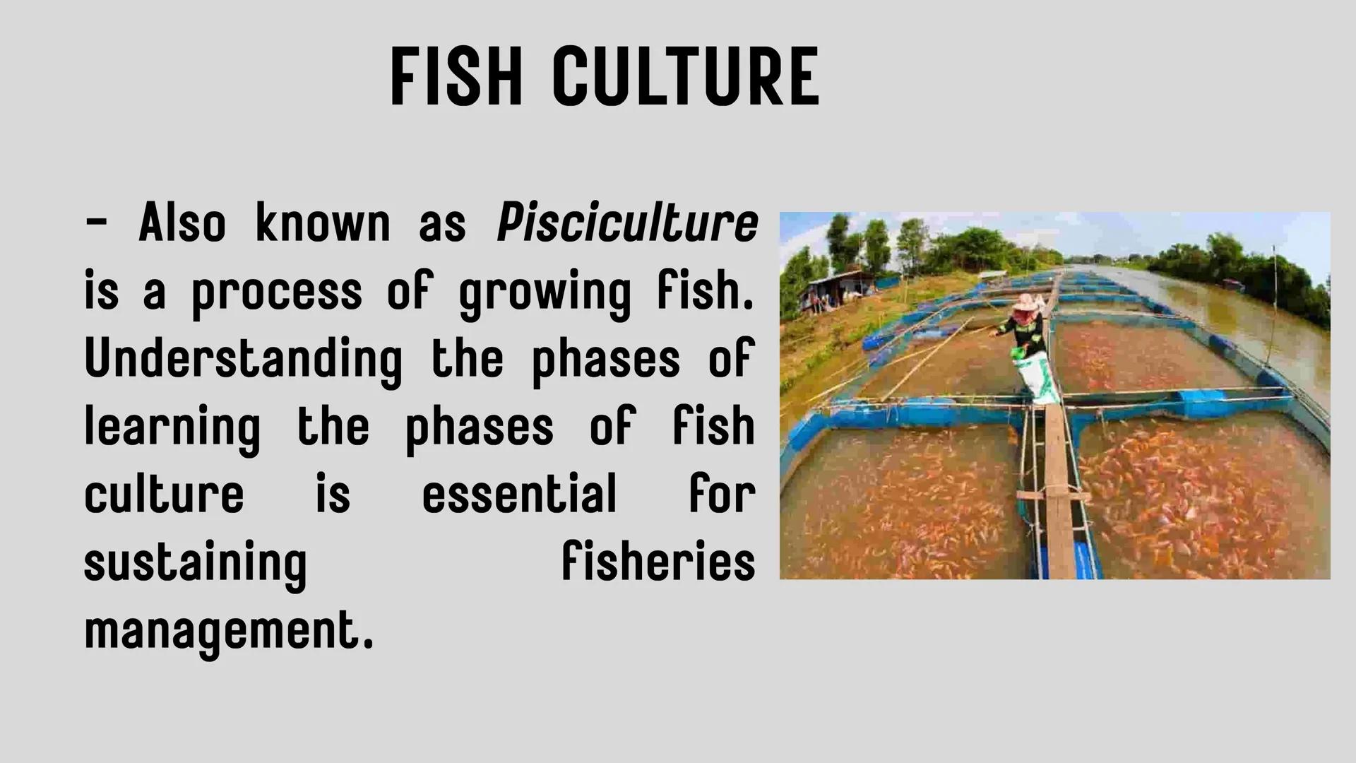 # LESSON 1:
# AQUACULTURE AQUACULTURE
is the farming of aquatic
organisms such as fish
and
shellfish under
controlled conditions RA 8550 (T