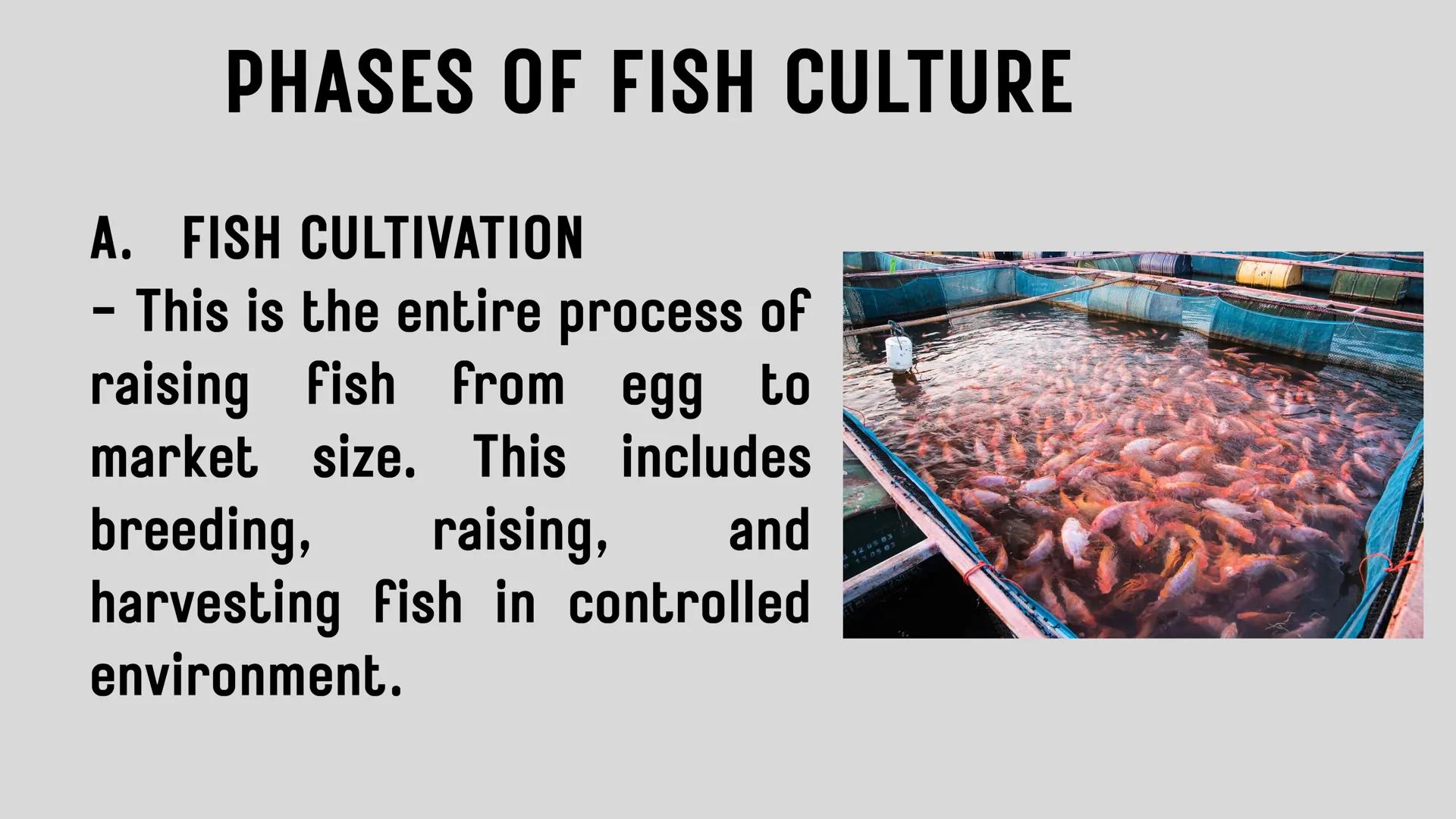 # LESSON 1:
# AQUACULTURE AQUACULTURE
is the farming of aquatic
organisms such as fish
and
shellfish under
controlled conditions RA 8550 (T