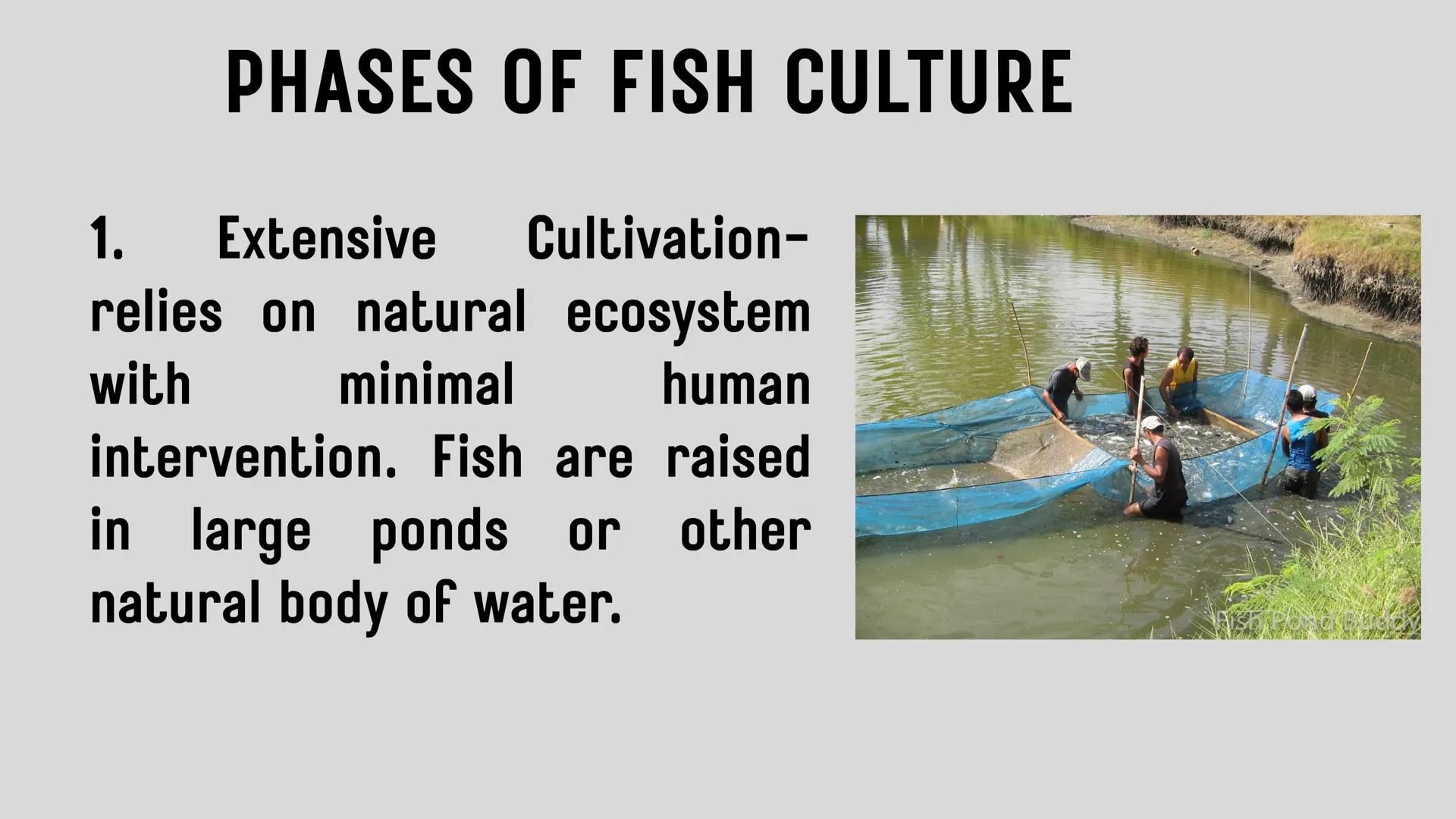# LESSON 1:
# AQUACULTURE AQUACULTURE
is the farming of aquatic
organisms such as fish
and
shellfish under
controlled conditions RA 8550 (T