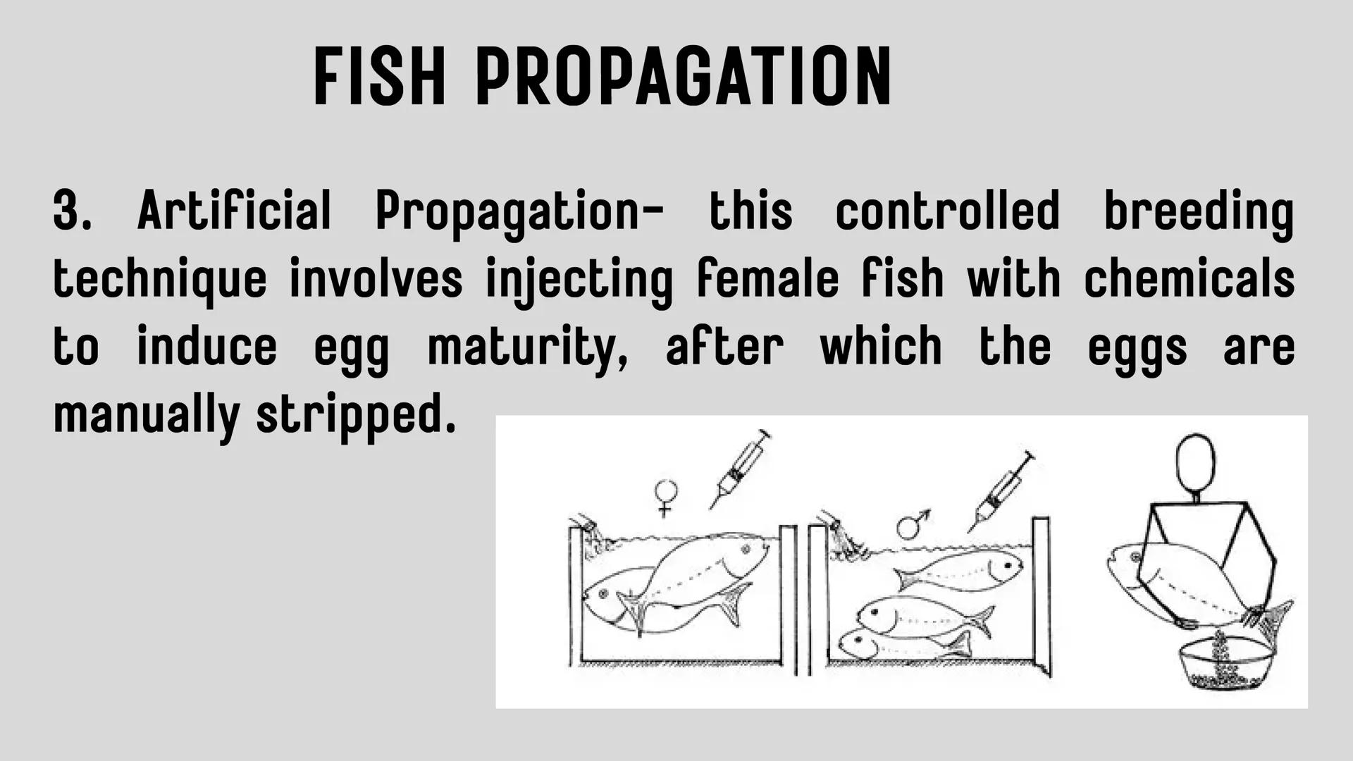 # LESSON 1:
# AQUACULTURE AQUACULTURE
is the farming of aquatic
organisms such as fish
and
shellfish under
controlled conditions RA 8550 (T