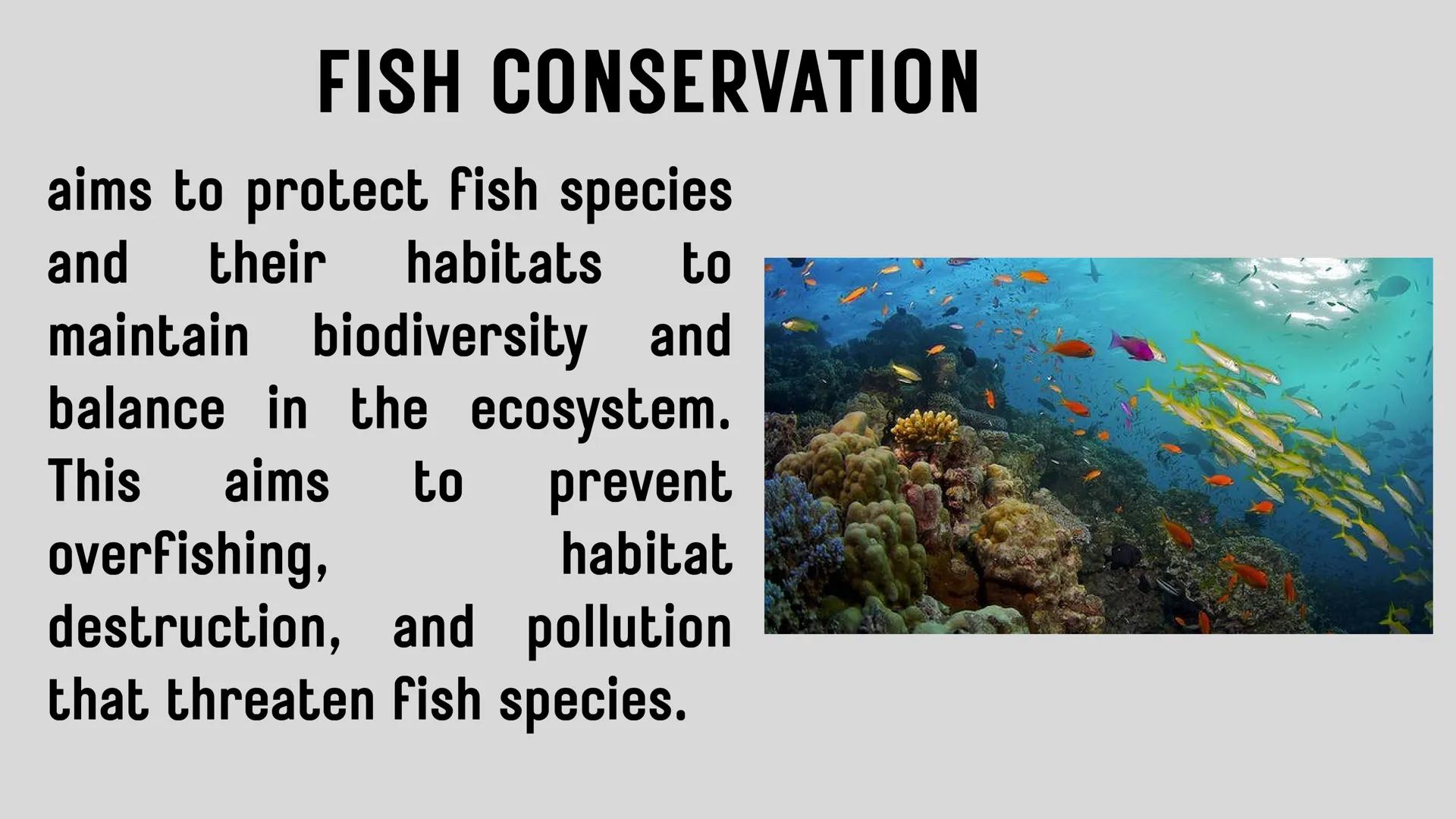 # LESSON 1:
# AQUACULTURE AQUACULTURE
is the farming of aquatic
organisms such as fish
and
shellfish under
controlled conditions RA 8550 (T