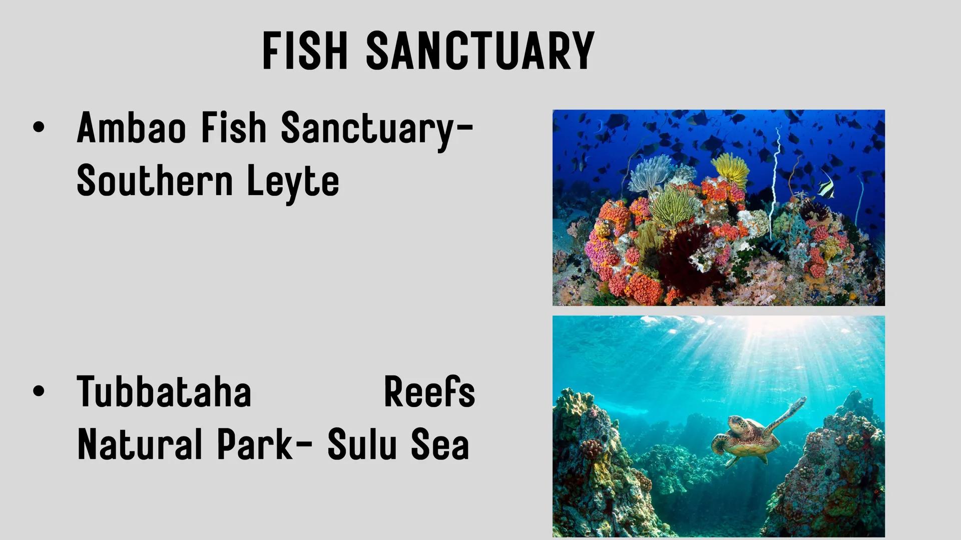 # LESSON 1:
# AQUACULTURE AQUACULTURE
is the farming of aquatic
organisms such as fish
and
shellfish under
controlled conditions RA 8550 (T