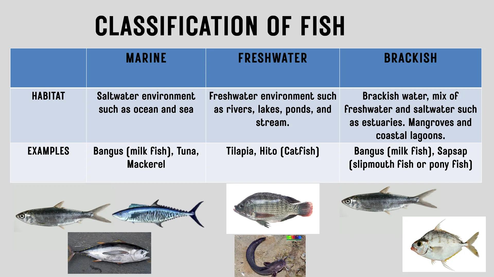 # LESSON 1:
# AQUACULTURE AQUACULTURE
is the farming of aquatic
organisms such as fish
and
shellfish under
controlled conditions RA 8550 (T
