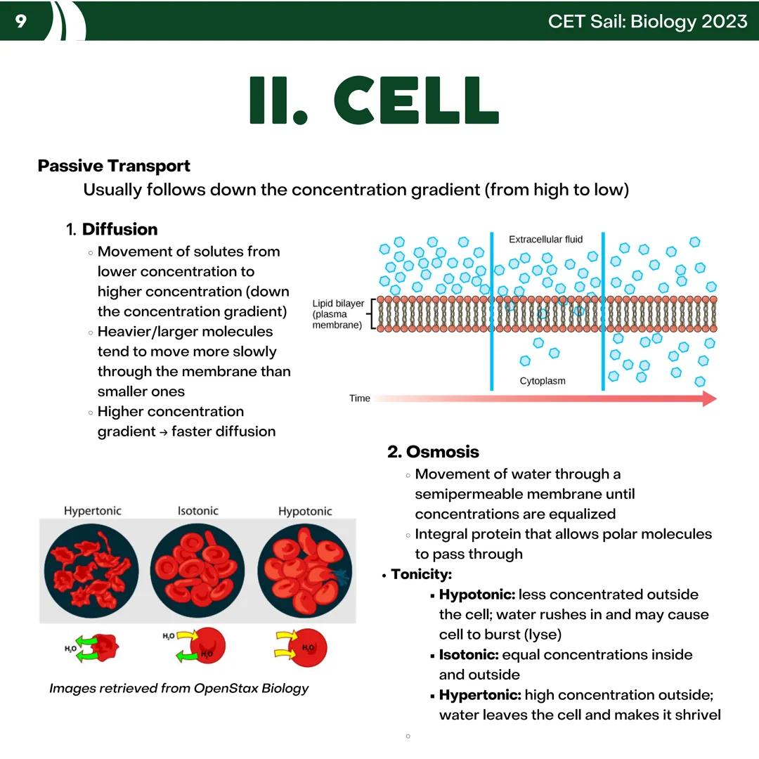 CET
SAIL!
with
SCIENCE
VOLUME 2: SCIENCE
I. Biology (1st Half) CET sail with
SCIENCE
Topic Outline
I. Biology
1. Branches of Biology
2. Cell
