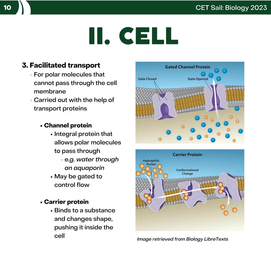 CET
SAIL!
with
SCIENCE
VOLUME 2: SCIENCE
I. Biology (1st Half) CET sail with
SCIENCE
Topic Outline
I. Biology
1. Branches of Biology
2. Cell