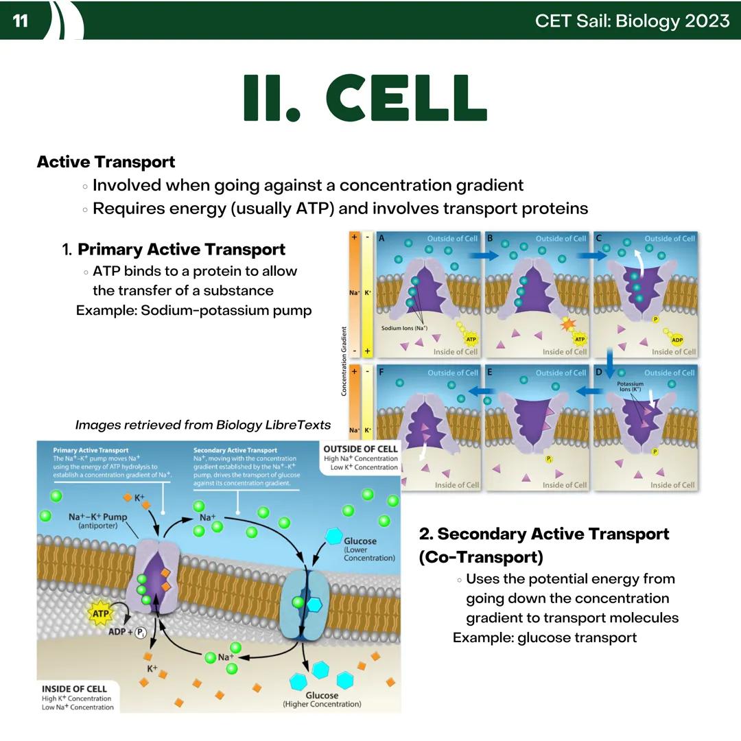 CET
SAIL!
with
SCIENCE
VOLUME 2: SCIENCE
I. Biology (1st Half) CET sail with
SCIENCE
Topic Outline
I. Biology
1. Branches of Biology
2. Cell