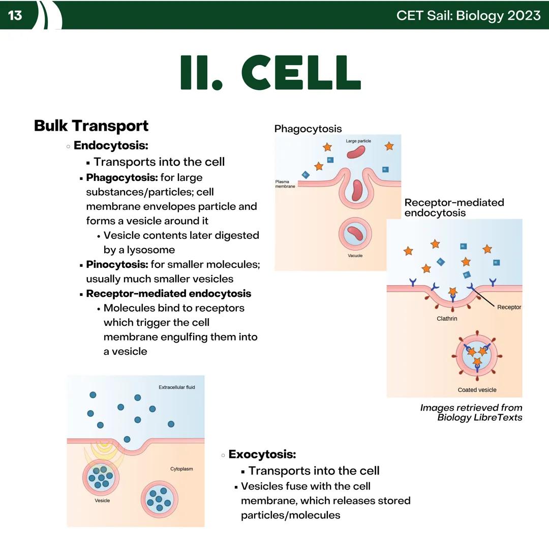 CET
SAIL!
with
SCIENCE
VOLUME 2: SCIENCE
I. Biology (1st Half) CET sail with
SCIENCE
Topic Outline
I. Biology
1. Branches of Biology
2. Cell