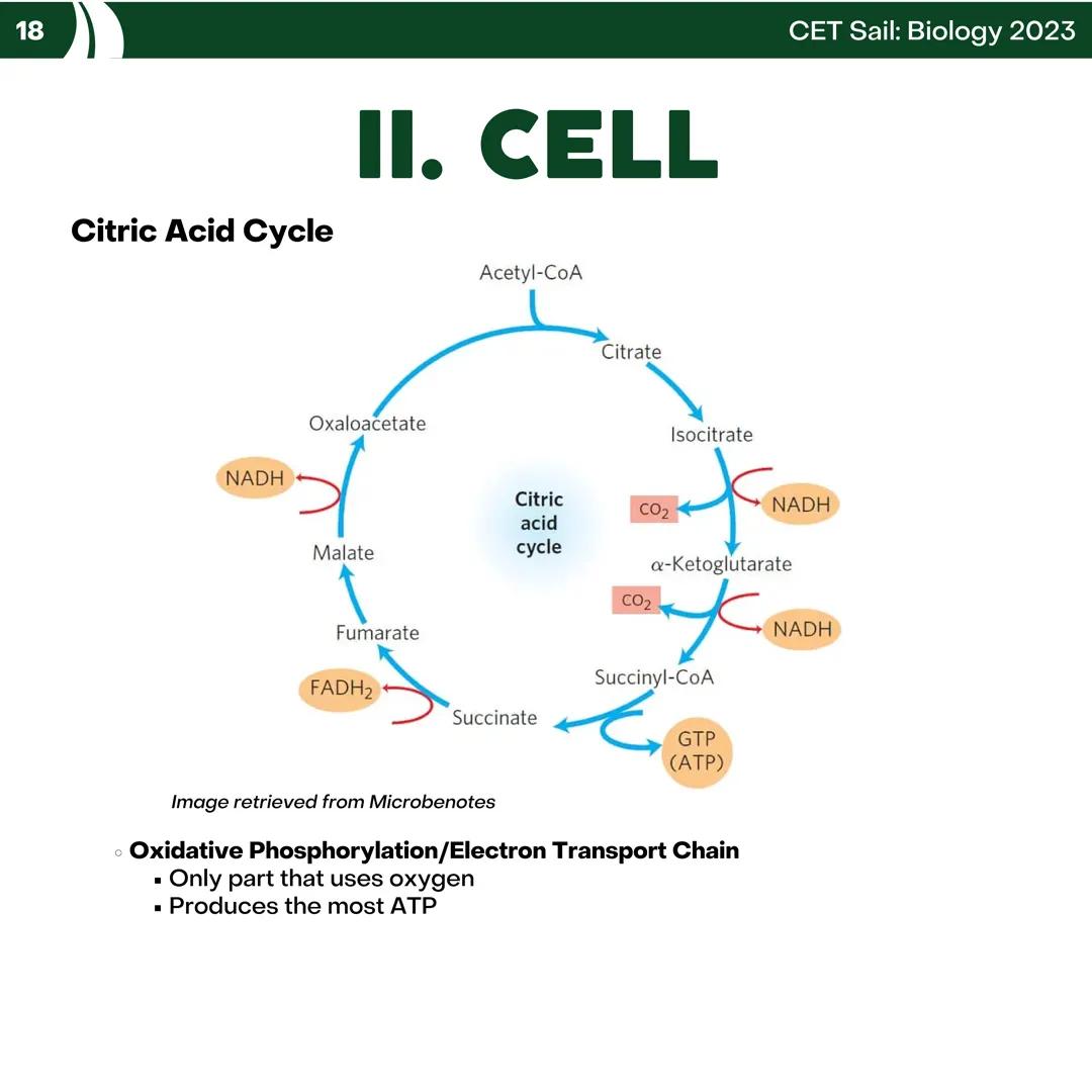 CET
SAIL!
with
SCIENCE
VOLUME 2: SCIENCE
I. Biology (1st Half) CET sail with
SCIENCE
Topic Outline
I. Biology
1. Branches of Biology
2. Cell