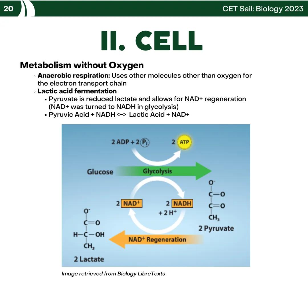 CET
SAIL!
with
SCIENCE
VOLUME 2: SCIENCE
I. Biology (1st Half) CET sail with
SCIENCE
Topic Outline
I. Biology
1. Branches of Biology
2. Cell