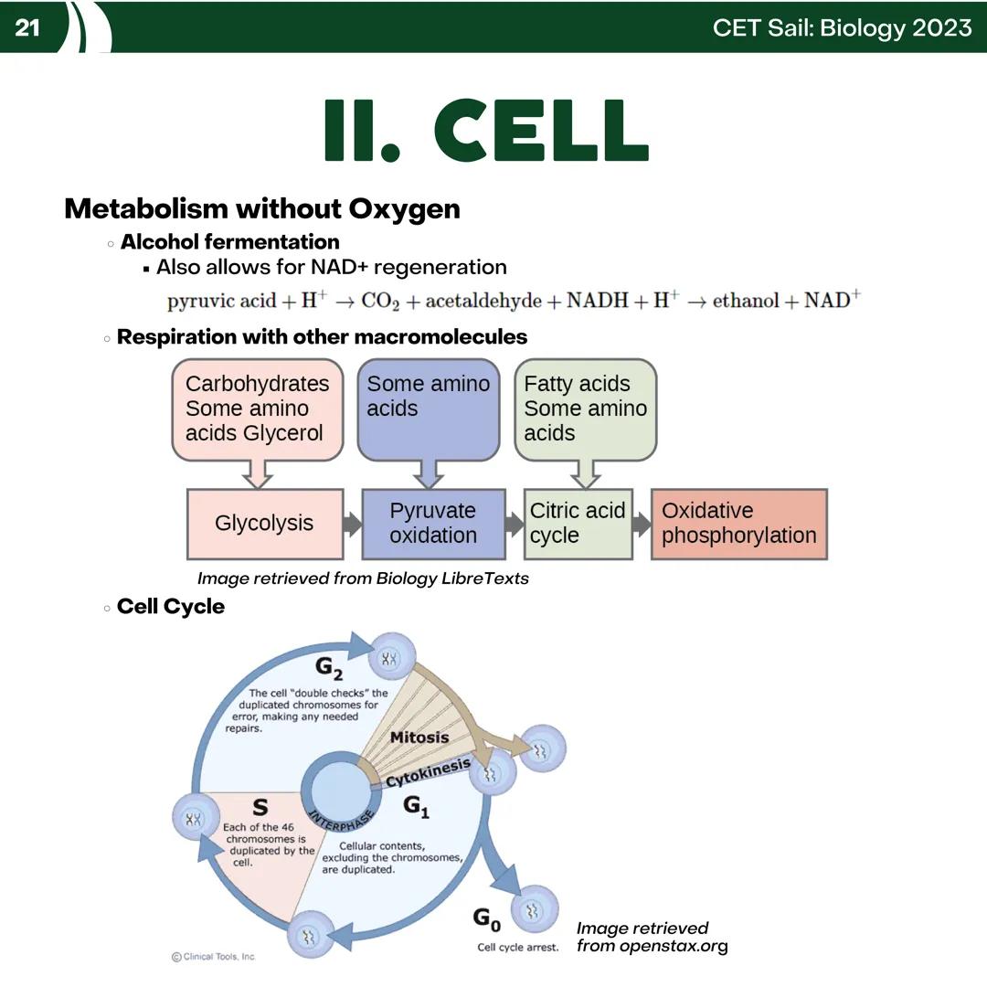 CET
SAIL!
with
SCIENCE
VOLUME 2: SCIENCE
I. Biology (1st Half) CET sail with
SCIENCE
Topic Outline
I. Biology
1. Branches of Biology
2. Cell
