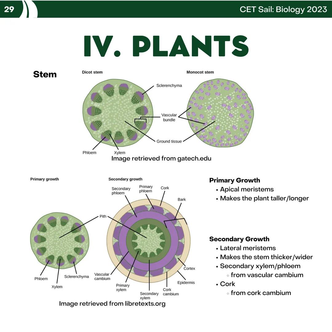 CET
SAIL!
with
SCIENCE
VOLUME 2: SCIENCE
I. Biology (1st Half) CET sail with
SCIENCE
Topic Outline
I. Biology
1. Branches of Biology
2. Cell