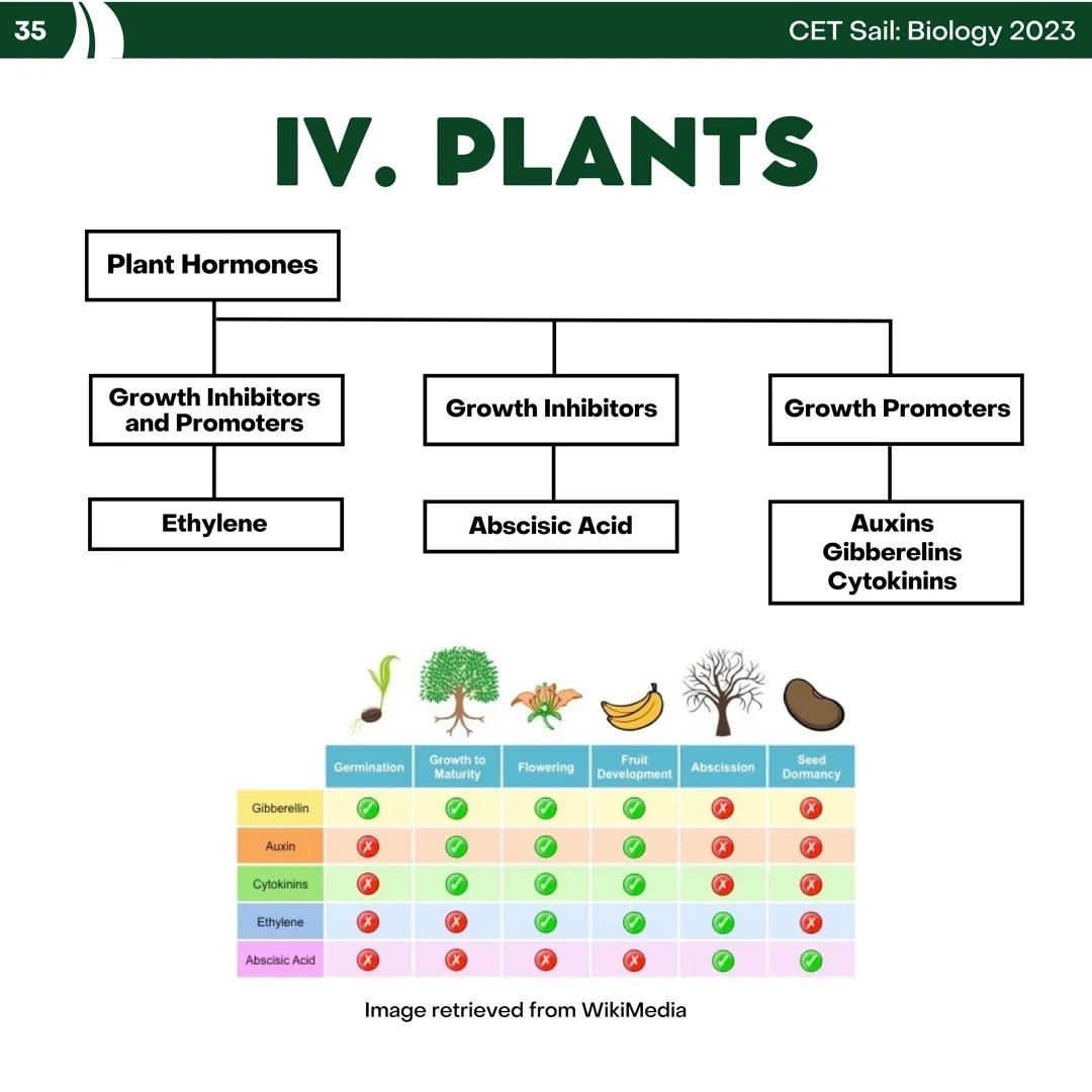 CET
SAIL!
with
SCIENCE
VOLUME 2: SCIENCE
I. Biology (1st Half) CET sail with
SCIENCE
Topic Outline
I. Biology
1. Branches of Biology
2. Cell
