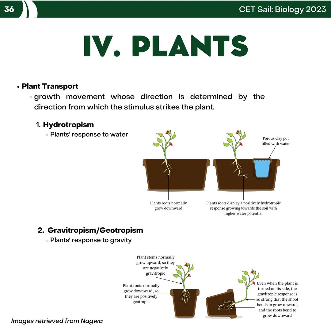 CET
SAIL!
with
SCIENCE
VOLUME 2: SCIENCE
I. Biology (1st Half) CET sail with
SCIENCE
Topic Outline
I. Biology
1. Branches of Biology
2. Cell