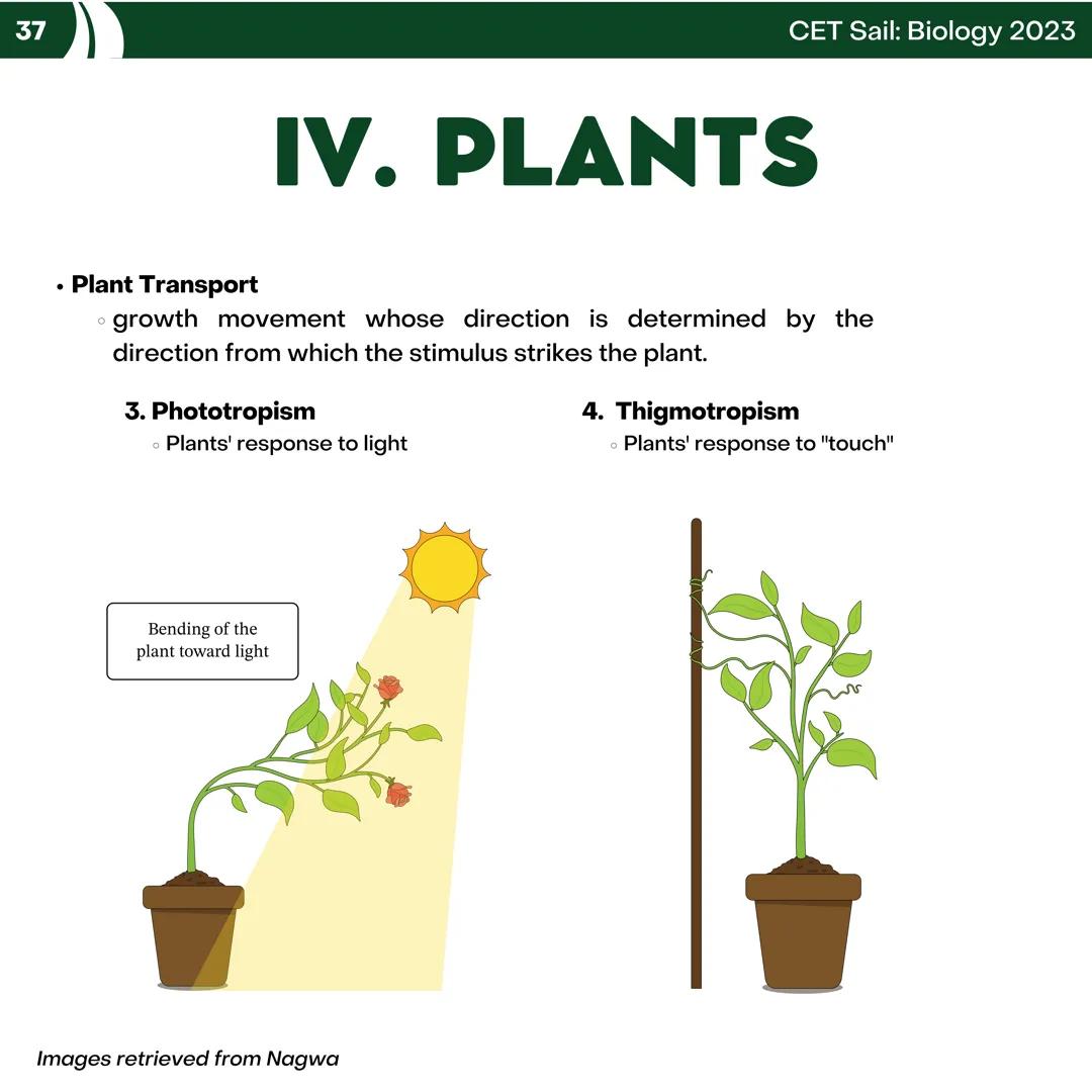 CET
SAIL!
with
SCIENCE
VOLUME 2: SCIENCE
I. Biology (1st Half) CET sail with
SCIENCE
Topic Outline
I. Biology
1. Branches of Biology
2. Cell
