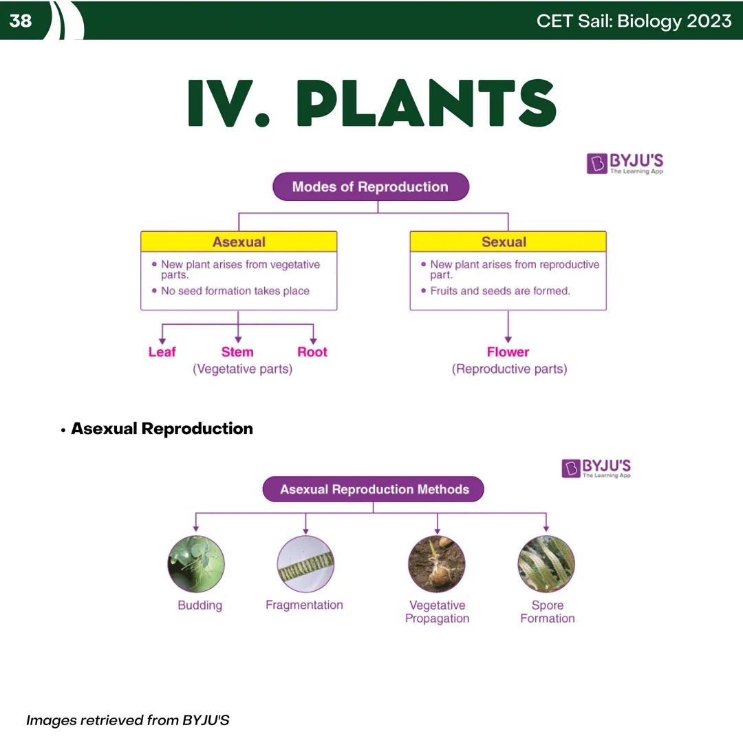 CET
SAIL!
with
SCIENCE
VOLUME 2: SCIENCE
I. Biology (1st Half) CET sail with
SCIENCE
Topic Outline
I. Biology
1. Branches of Biology
2. Cell