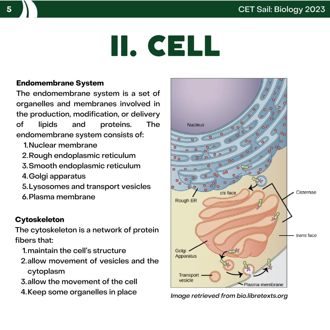 CET
SAIL!
with
SCIENCE
VOLUME 2: SCIENCE
I. Biology (1st Half) CET sail with
SCIENCE
Topic Outline
I. Biology
1. Branches of Biology
2. Cell