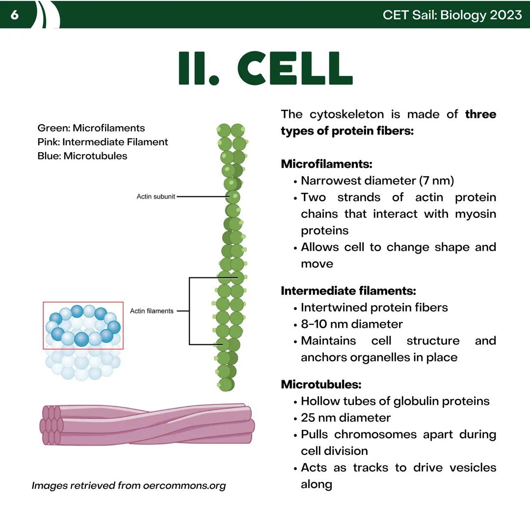CET
SAIL!
with
SCIENCE
VOLUME 2: SCIENCE
I. Biology (1st Half) CET sail with
SCIENCE
Topic Outline
I. Biology
1. Branches of Biology
2. Cell