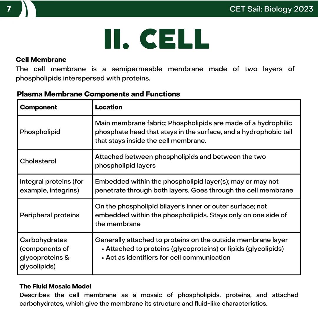 CET
SAIL!
with
SCIENCE
VOLUME 2: SCIENCE
I. Biology (1st Half) CET sail with
SCIENCE
Topic Outline
I. Biology
1. Branches of Biology
2. Cell