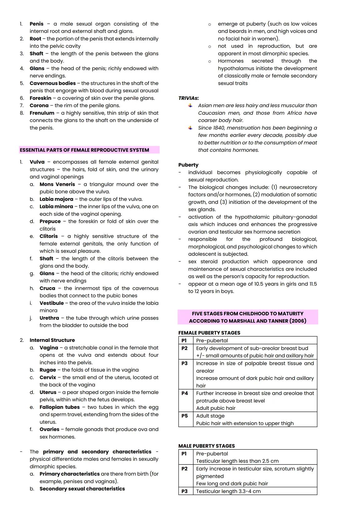 UNDERSTANDING THE SELF
BATANGAS STATE UNIVERSITY - BSCE
REYES, GUINE B. | First Semester
WK 1: UNDERSTANDING THE SELF
Understanding oneself