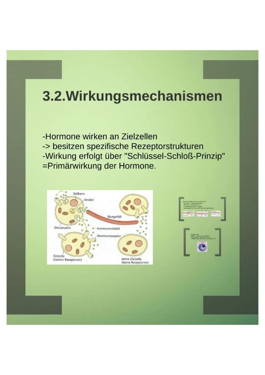 1.Hormone
1.1.Definition
-chemische Signal- und Botenstoffe
-übermitteln Informationen und
regeln wichtige Vorgänge
1.2.Klassifizierung
-U