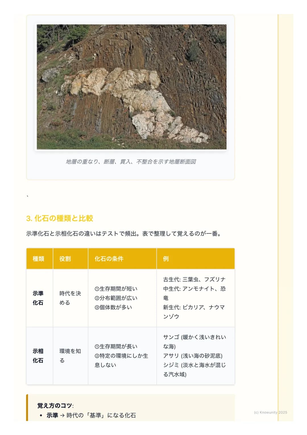 # 地層と化石
地層と化石の基本
地層は、大地の歴史が記録された「本」のようなもの。地層の重なり方や含まれ
る化石を調べることで、過去の地球で何が起こったのか、どんな生物がいたのか
を知ることができる。テストでもよく出る分野だから、しっかり理解しておく必
要がある。
重要な