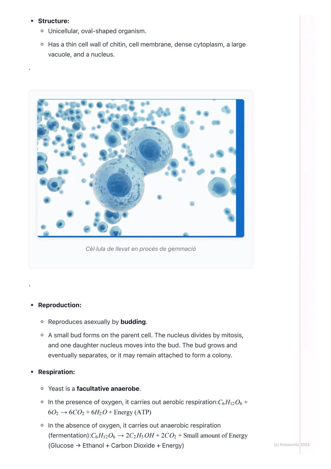 # Fungi
General characteristics of fungi
Fungi are a unique kingdom of organisms, separate from plants and animals.
They are eukaryotic, m